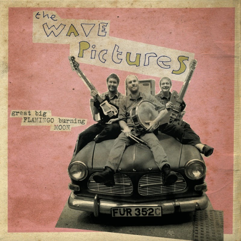 THE WAVE PICTURES - (2015) Great big flamingo burning moon
