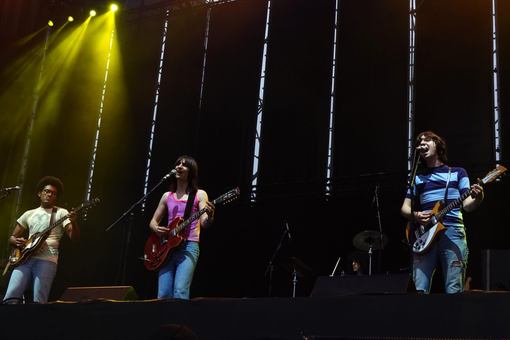 The Lemon Twighs