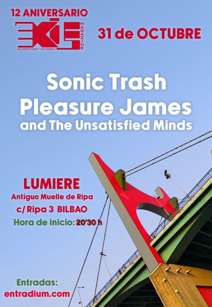 sonic trash pleasure james aniversario exile sh magazine