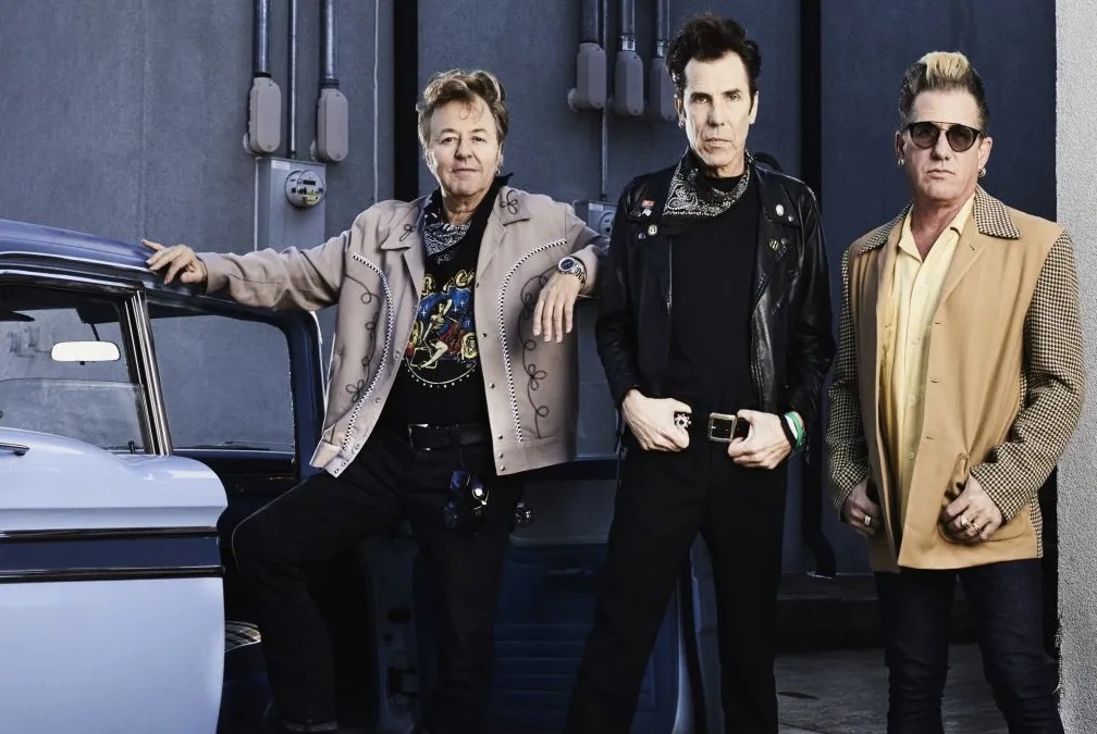 stray cats stampede