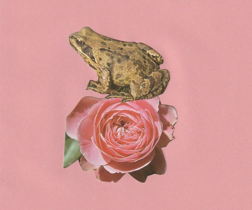 lanuca archivos tulsa