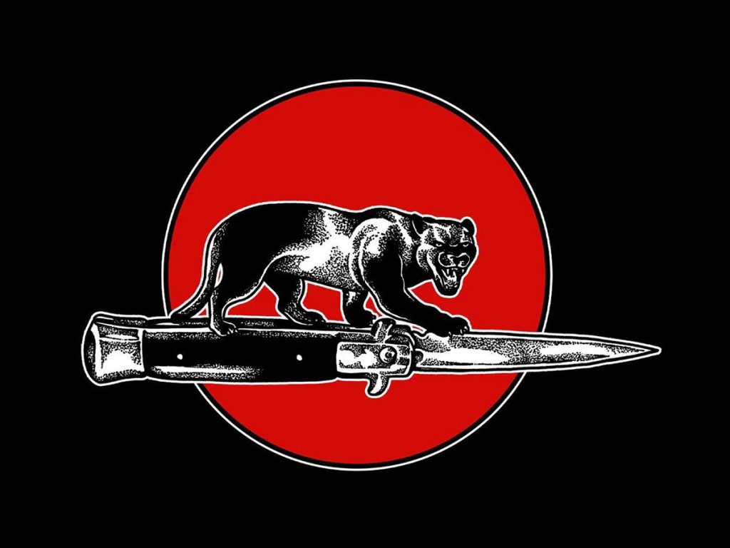 jim jones all stars cat fight exiled