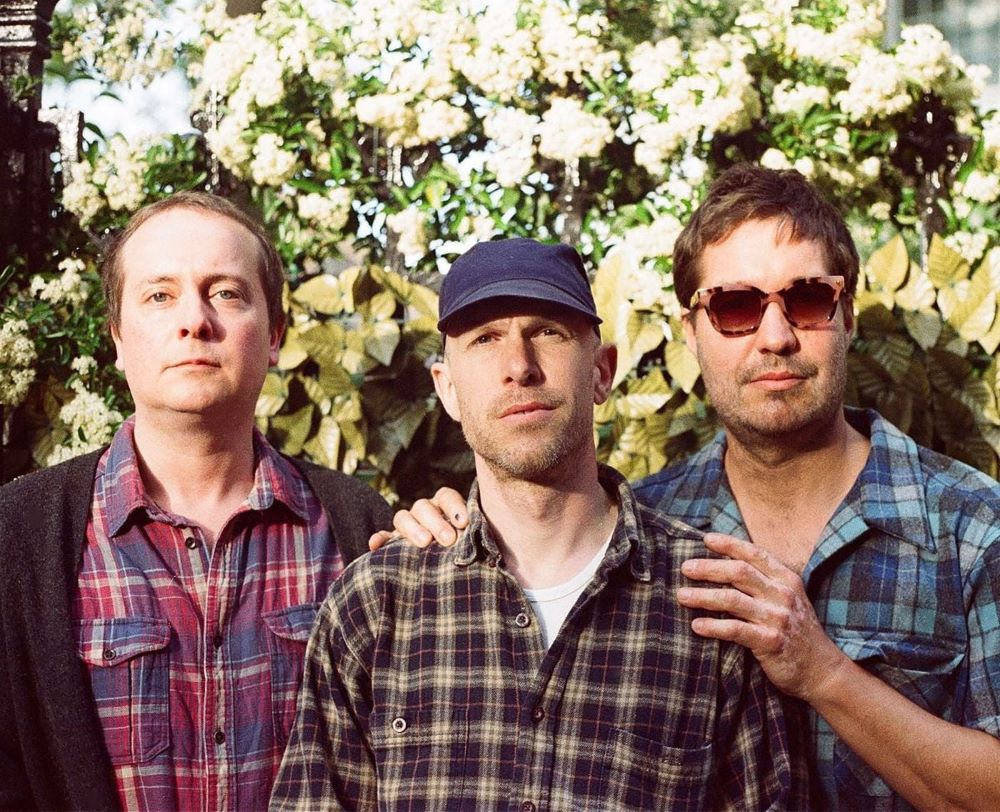 the wave pictures gained lost