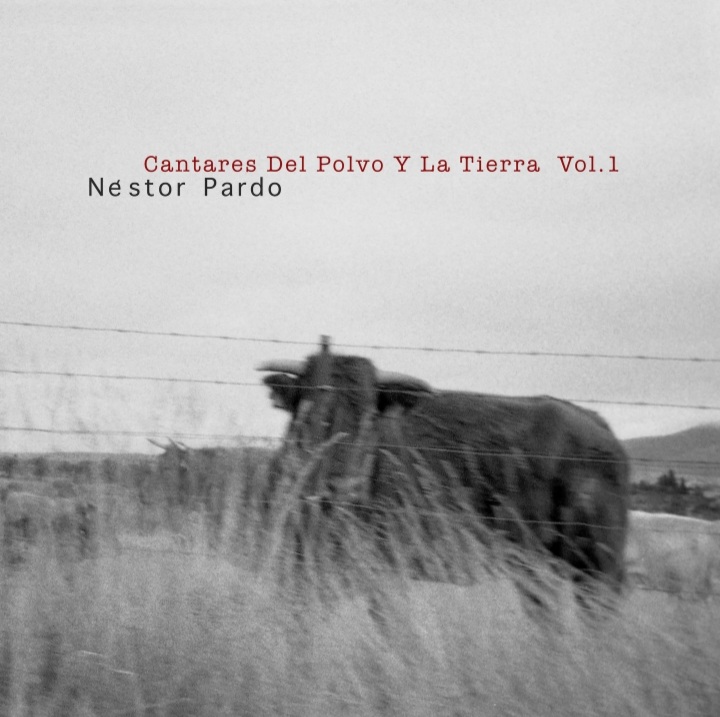 Nestor Pardo - Cantares...