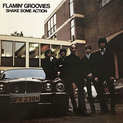 Flamin' Groovies - Shake some action