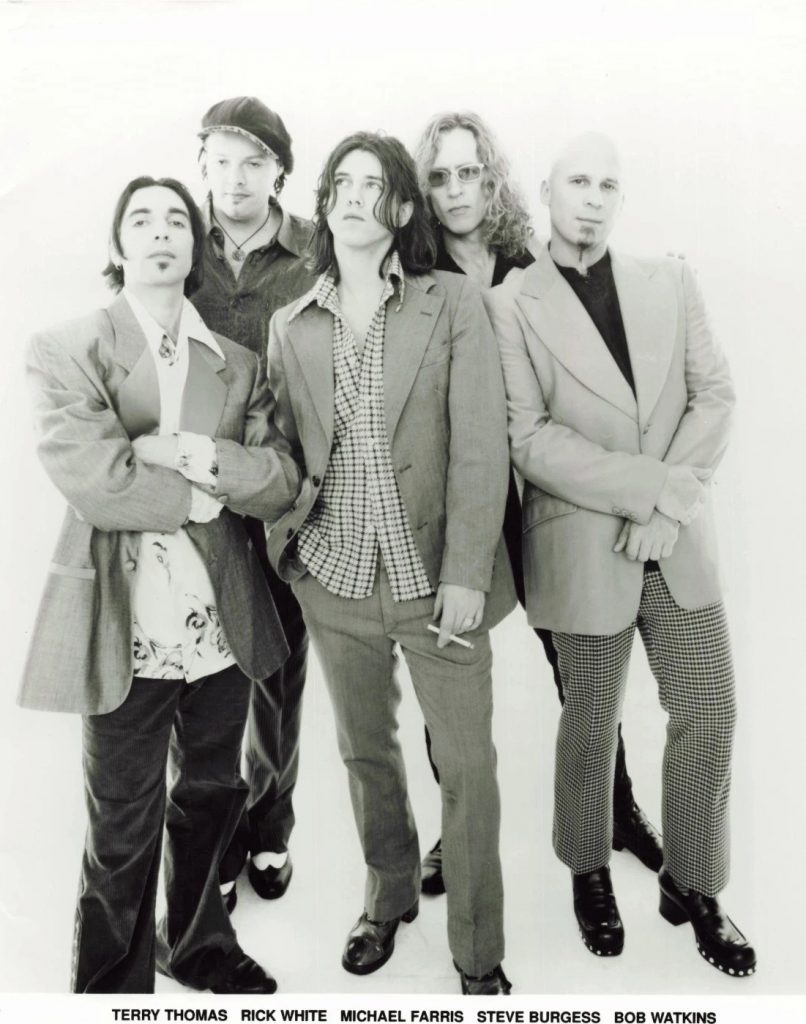 screamin cheetah wheelies magnolia