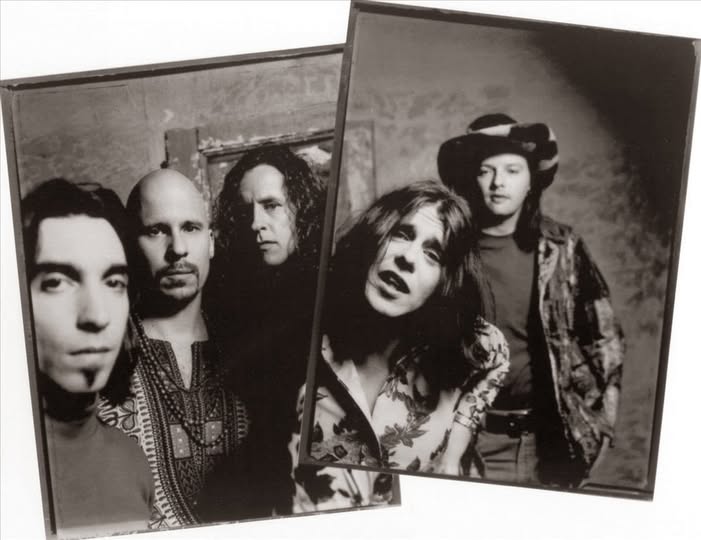 screamin cheetah wheelies magnolia