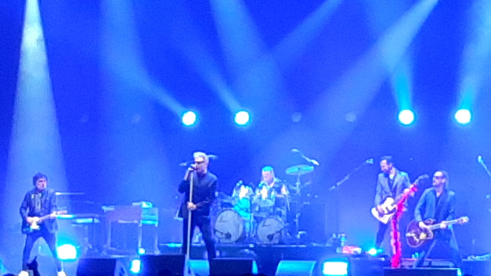 Loquillo en Pamplona