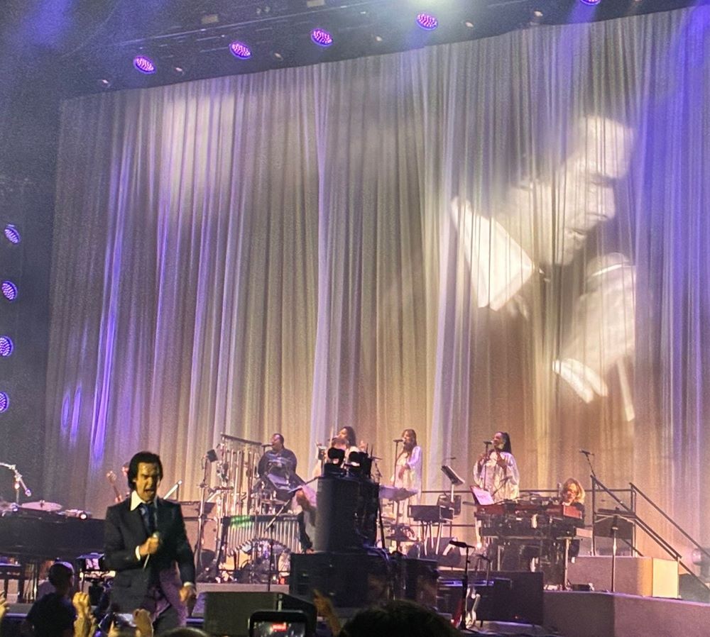 nick cave