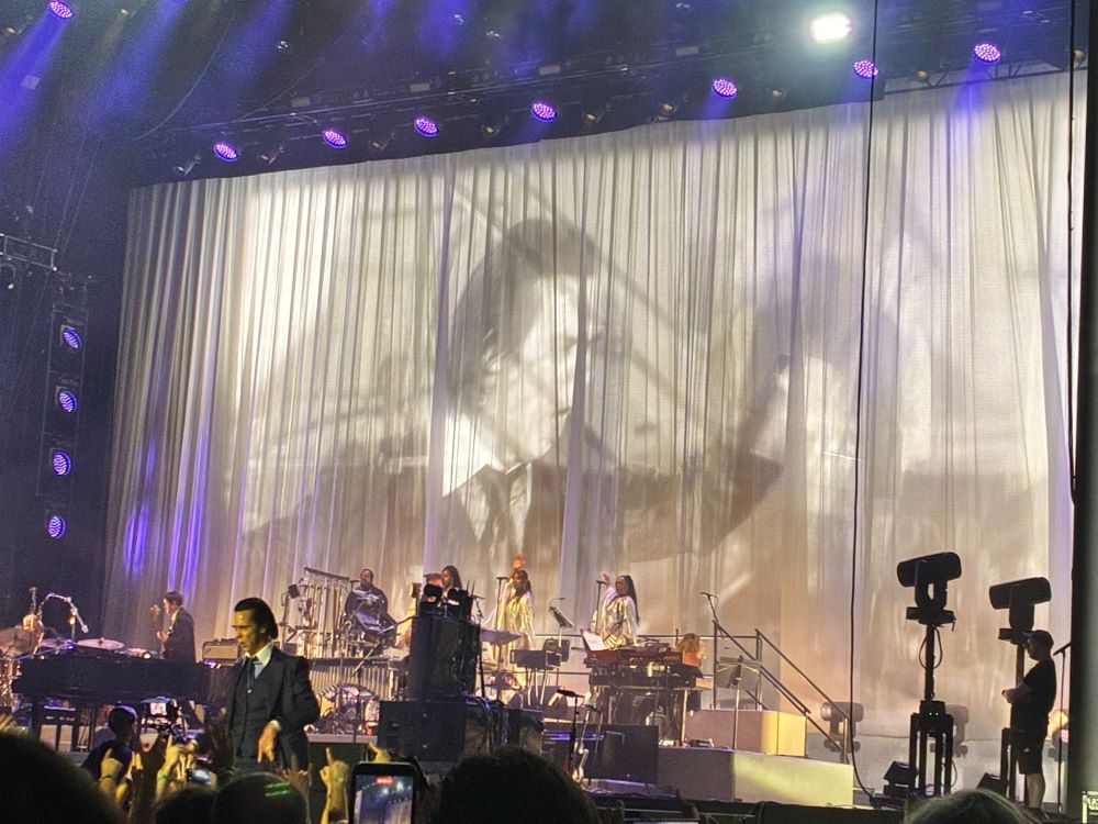 nick cave
