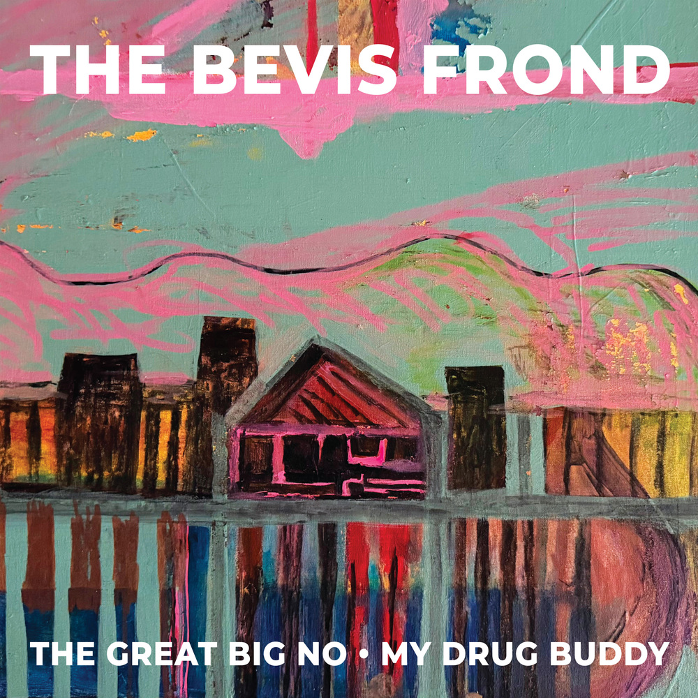 the bevis frond my drug buddy