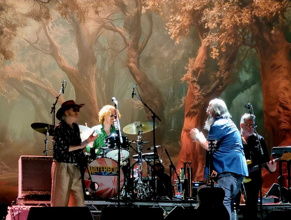 the waterboys steve earle roig arena