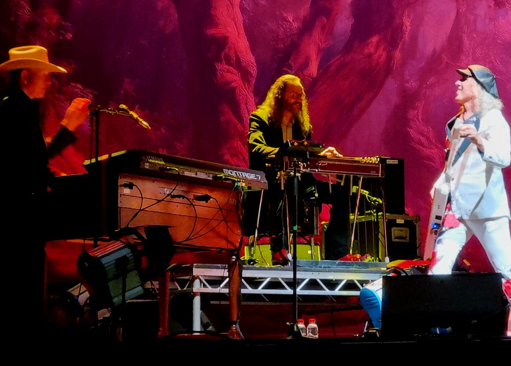 the waterboys steve earle roig arena