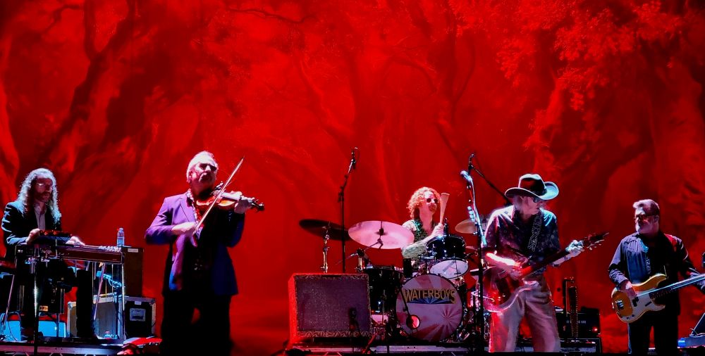 the waterboys steve earle roig arena