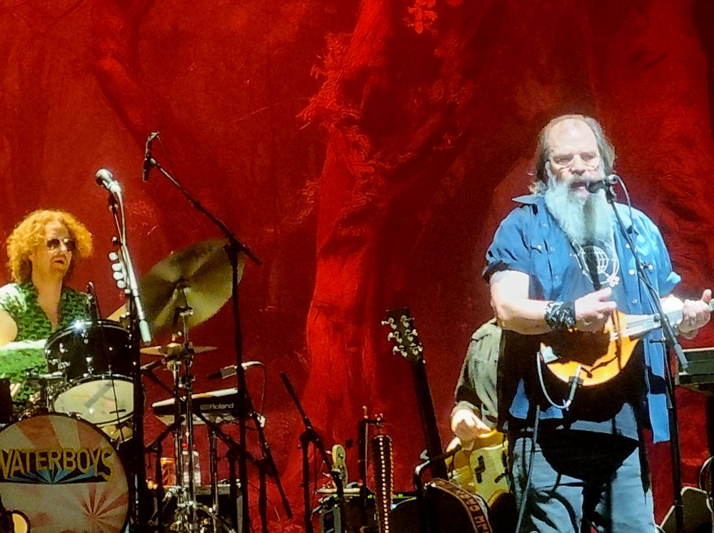 the waterboys steve earle roig arena