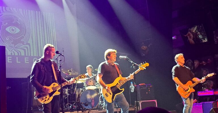 The Chameleons Bilbao
